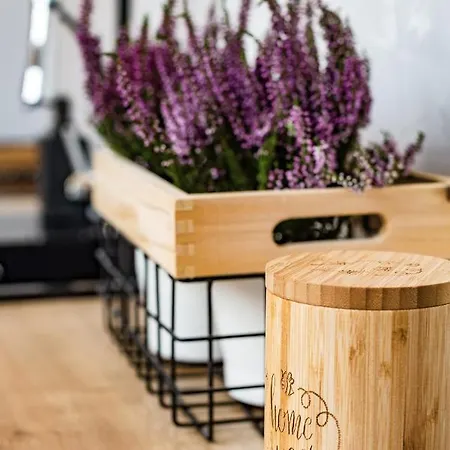 Big Marc Apartman Krynica Zdrój